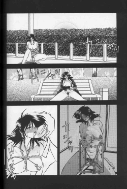 Page 73 of Hiiro no Koku Gekan