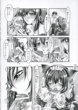 Page 5 of Musou Kairou