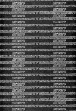 Page 2 of GOVERNMENT5121