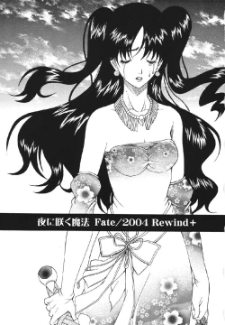 Page 3 of fate rewind+