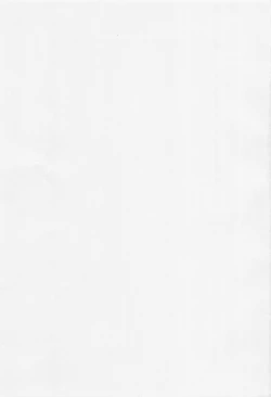 Page 4 of White Delta Zone