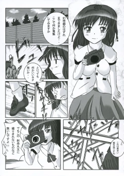 Page 4 of Touhou Reverse Vector Book, Falling to Earth