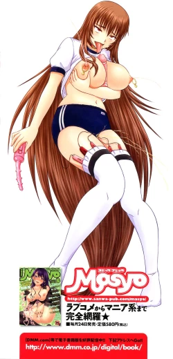 Page 4 of Do S na Hime wa Kegasareru