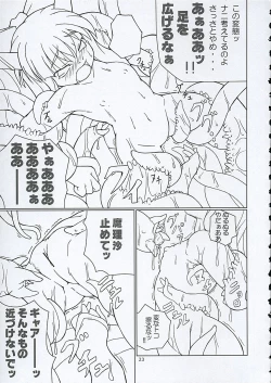 Page 22 of Inaba box