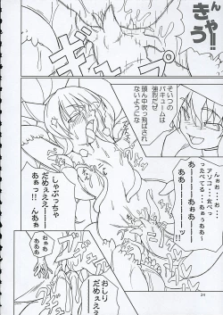 Page 23 of Inaba box