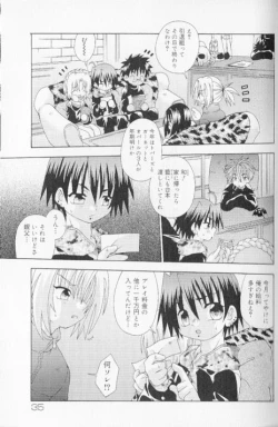 Page 39 of SpitFire Classic