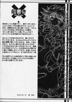 Page 3 of DW5 WILDGUNNERS