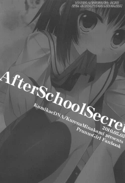 Page 4 of After School Secret