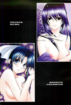 Page 13 of Juunen Shinshou Ten Years Fantasy Shinji Yamaguchi 2004