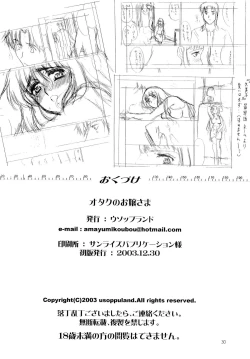 Page 29 of Otaku no Ojou-sama