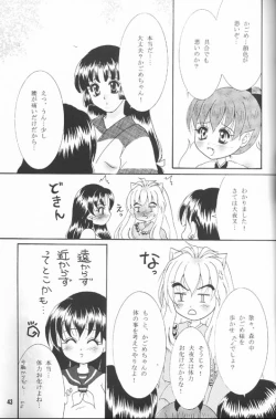 Page 41 of Secret of Forest