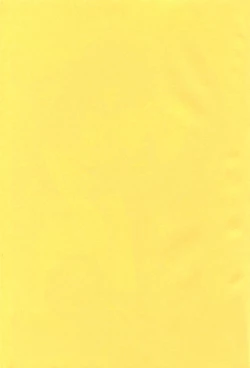 Page 2 of EVERYTIME YOU!