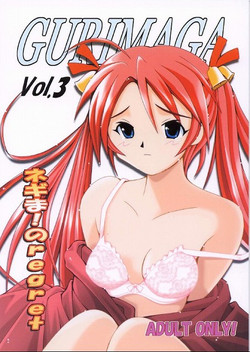 Download GURIMAGA Vol. 3 Negima no Regret