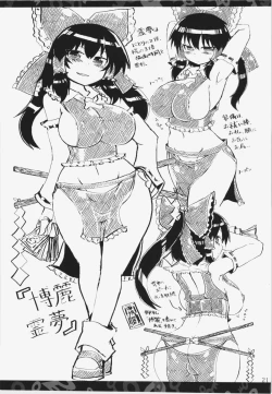 Page 21 of Nitorin H Shiryoushuu