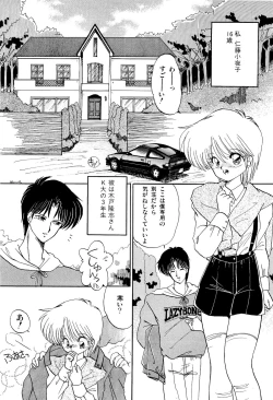 Page 31 of MISTY TWILIGHT