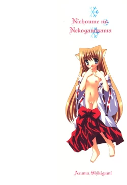 Page 3 of Nichoume no Nekogamisama