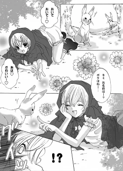 Page 4 of 赤ずきんちゃんと狼の話