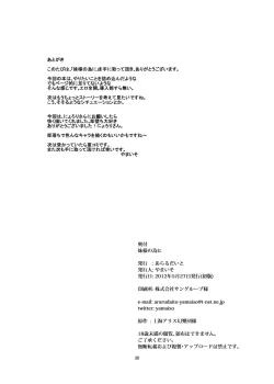 Page 31 of Imouto-sama no Tame ni