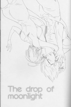 Page 3 of The drop of moonlight