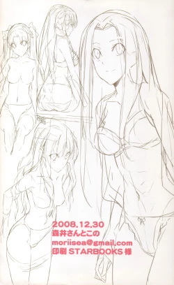 Page 13 of 2009 Type-Moon Calendar