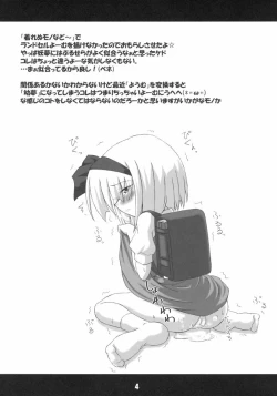 Page 4 of Ochikko Youmu 2