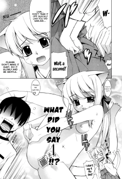 Page 17 of Nuko Miko-tan