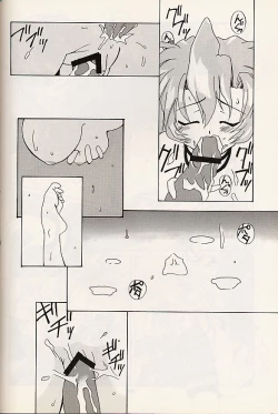 Page 28 of Vitamin B4