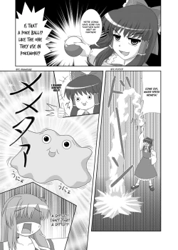Page 9 of Hatsujou Reimu R