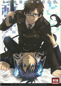 (CCTokyo127) [UZAKAZI. (Nanjou Tsugumi)] Toaru Ani-Baka no Exorcist. (Ao no Exorcist)