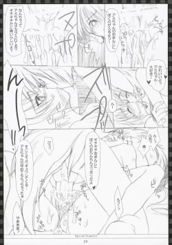 Page 18 of Special Exameter