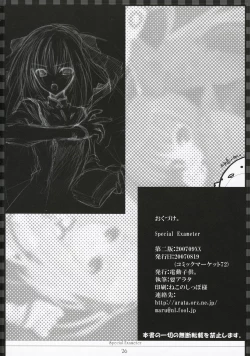 Page 25 of Special Exameter