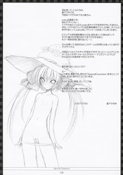 Page 3 of Special Exameter