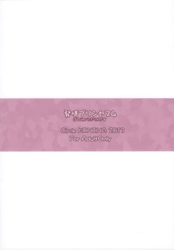 Page 18 of Hatsujou Princess 4