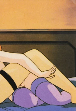 Page 17 of Gal's Anime Adult Video Catalog PART1