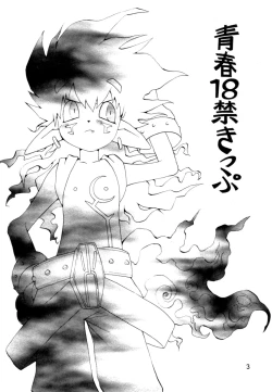 Page 2 of Seishun 18 Kin Kippu