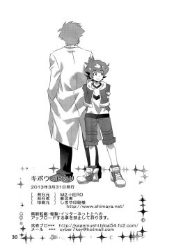 Page 30 of Kibou no Hikari