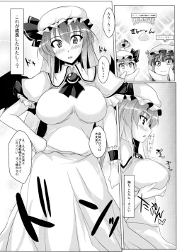 Page 5 of Remilia no Yuuutsu