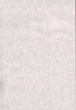 Page 2 of Asuna Only