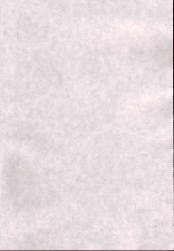 Page 43 of Asuna Only