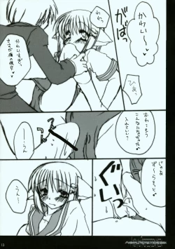 Page 13 of Animal Protection Week.