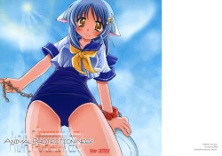 Page 2 of Animal Protection Week.