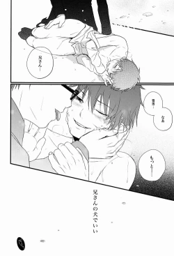 Page 41 of Boku wa Niisan no Inu Deii