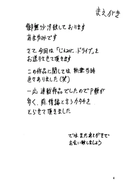 Page 3 of Gemini Drive