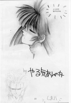 Page 22 of Vermilion 3