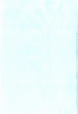 Page 4 of Daisy Blue