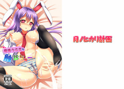 [Tsuki no Hikari Keikaku (Yuki Higasinakan, Tokyo Yamane)] Hatsujou Usagi wo Shokushin-chu (Touhou Project) [Digital]
