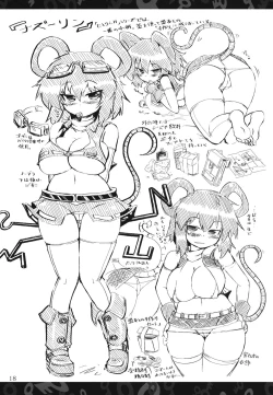 Page 17 of Nitorin H Shiryoushuu