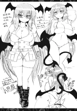 Page 21 of Nitorin H Shiryoushuu