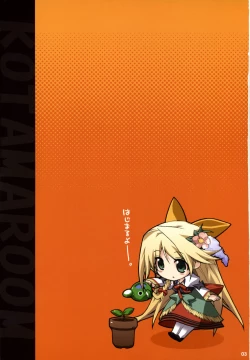 Page 2 of KOTAMAROOM