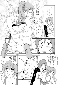 Page 35 of Sugoiyo!! Kasumi-chan 3